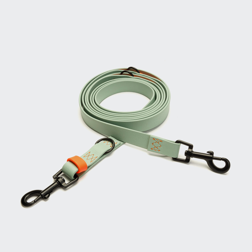 Adjustable BioThane Dog Leash - Ipanema Mint & Neon Orange
