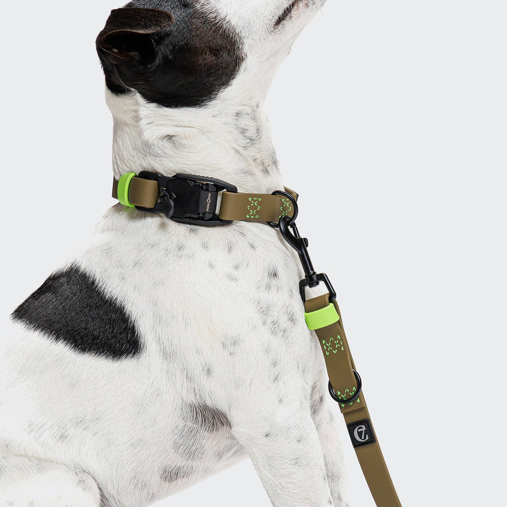 Hands-Free BioThane Dog Leash - Ipanema Olive-Neon Green