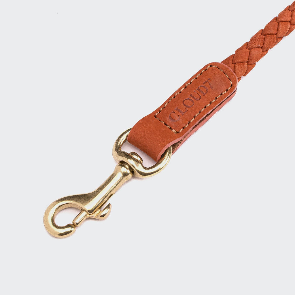 Ravello Rust Dog Leash – Durable, Stylish Finish