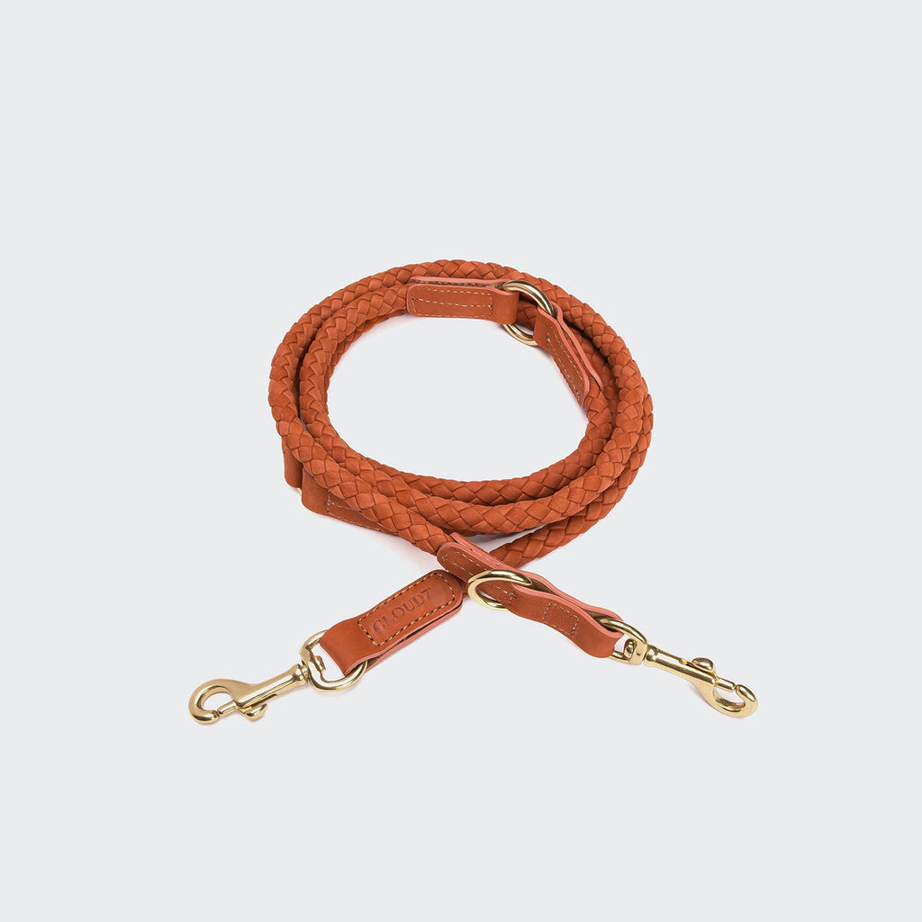 Ravello Rust Dog Leash – Durable, Stylish Finish