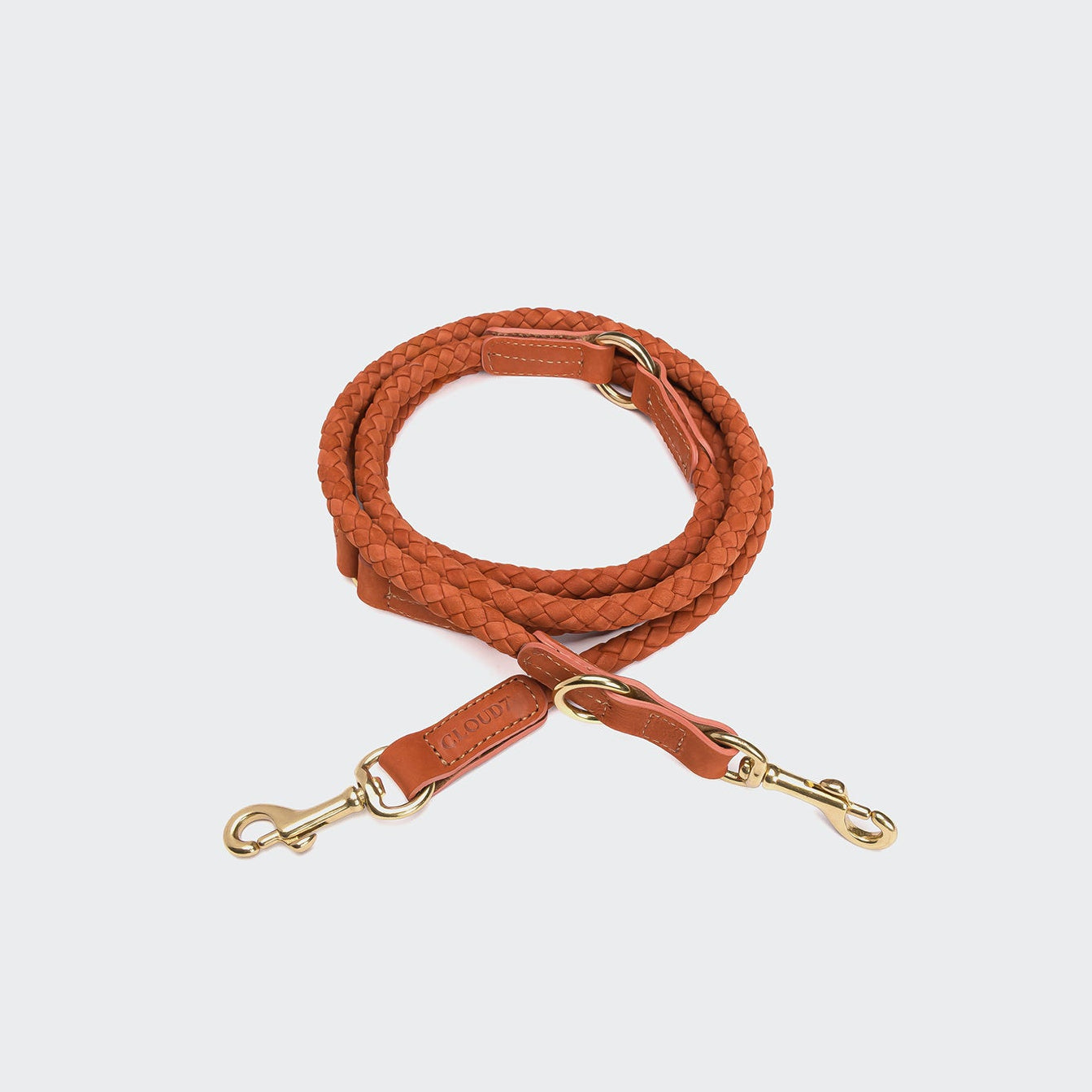 Ravello Rust Dog Leash – Durable, Stylish Finish