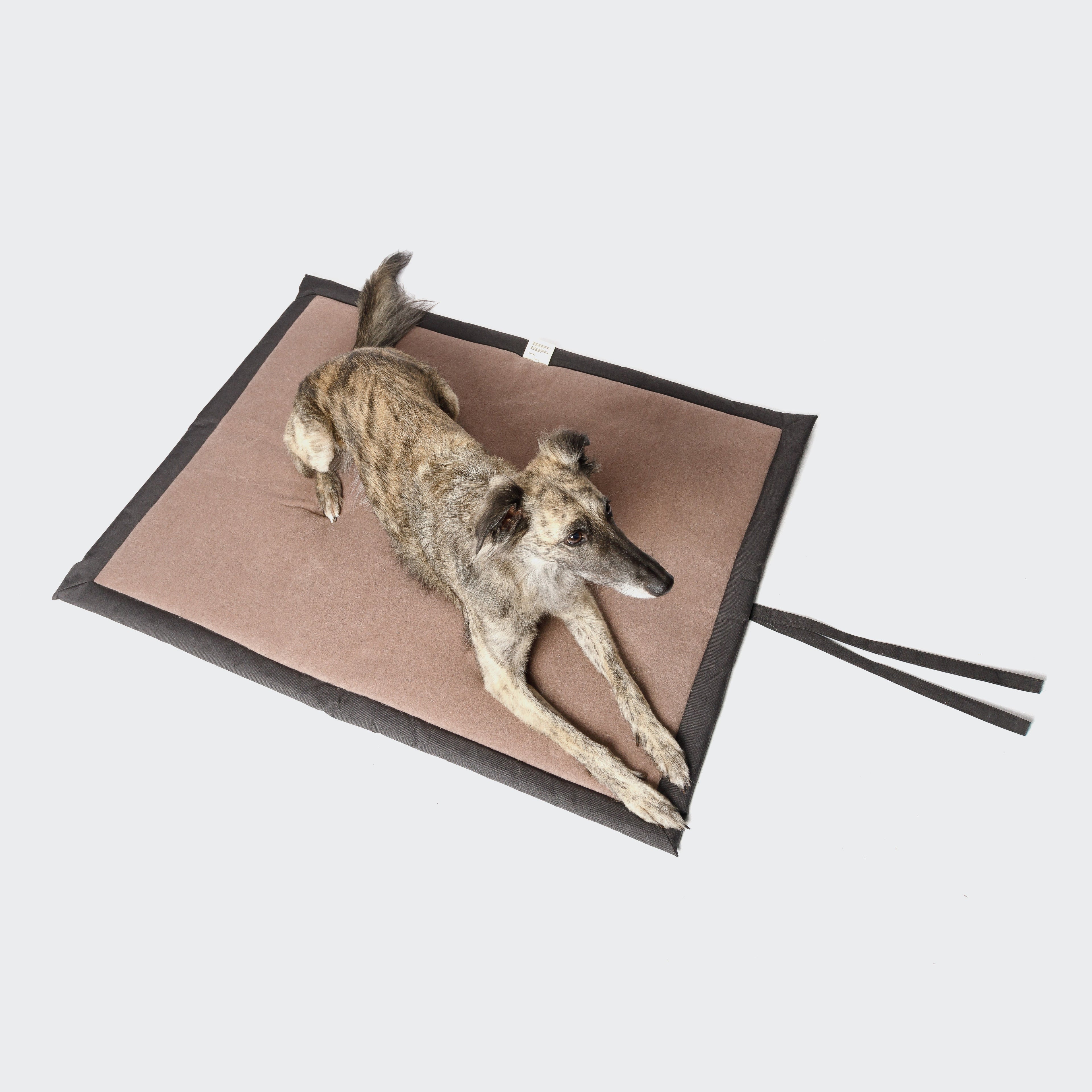 Graphite Water-Repellent Dog Mat