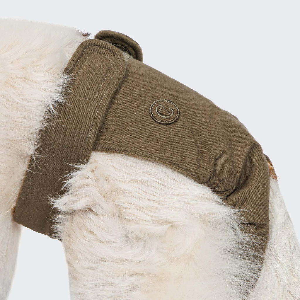 Olive Dog Panties - Cozy, Cute Undergarments for Your Pup