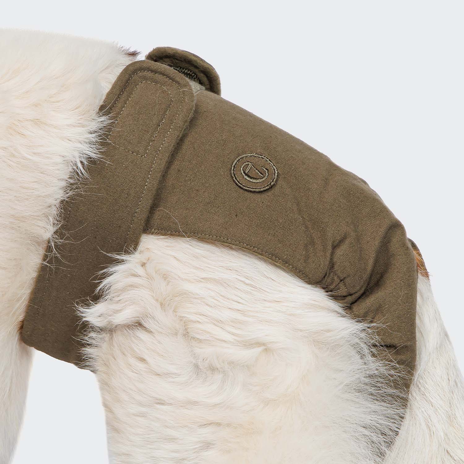 Olive Dog Panties - Cozy, Cute Undergarments for Your Pup