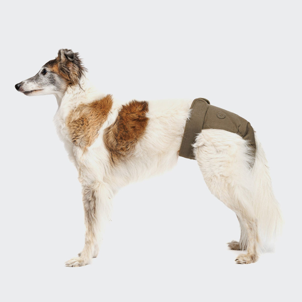 Olive Dog Panties - Cozy, Cute Undergarments for Your Pup