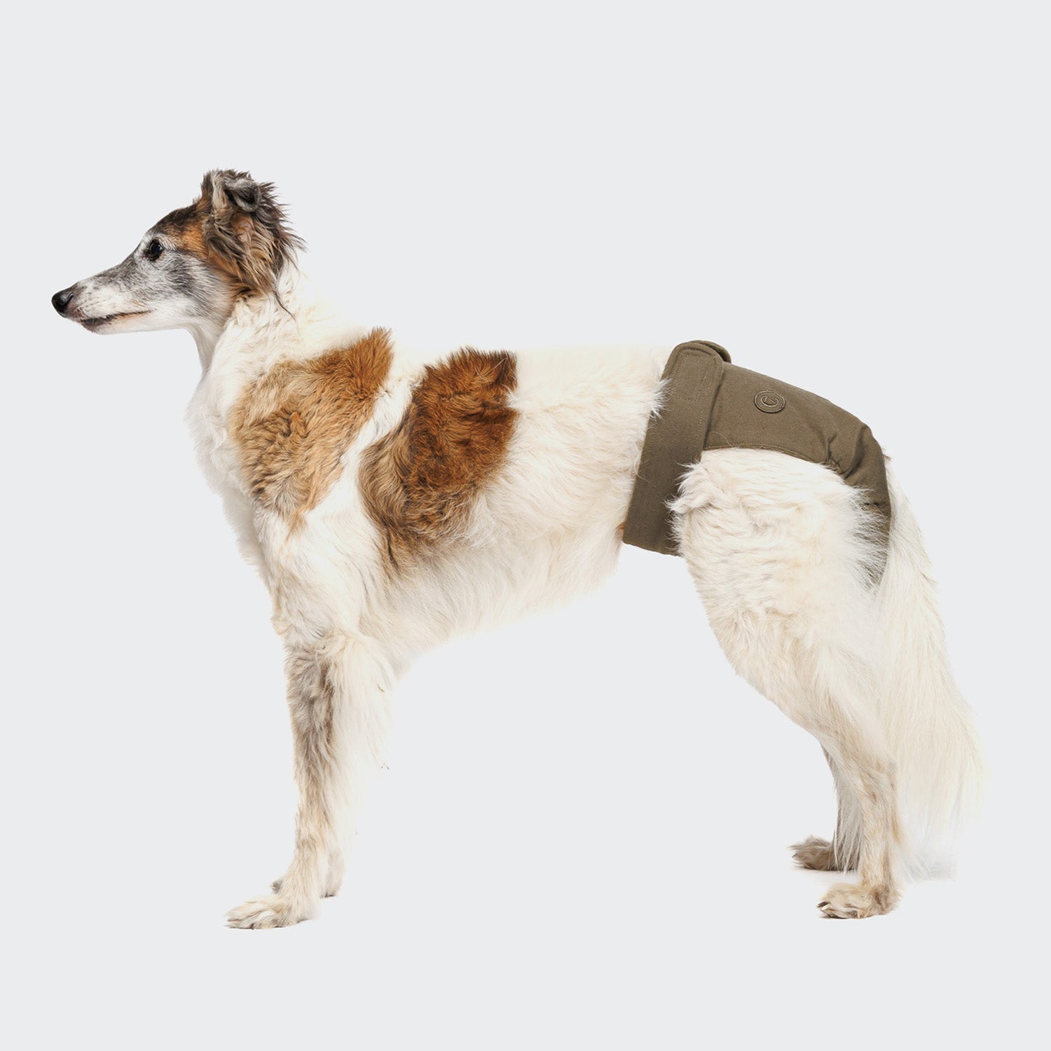 Olive Dog Panties - Cozy, Cute Undergarments for Your Pup