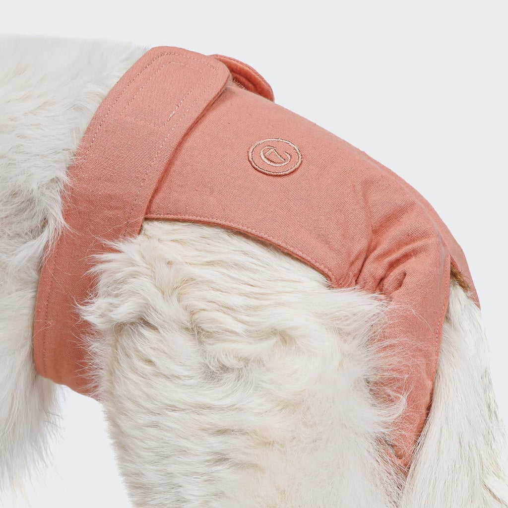Rose Dog Panties - Comfortable, Cute Underwear for Dogs
