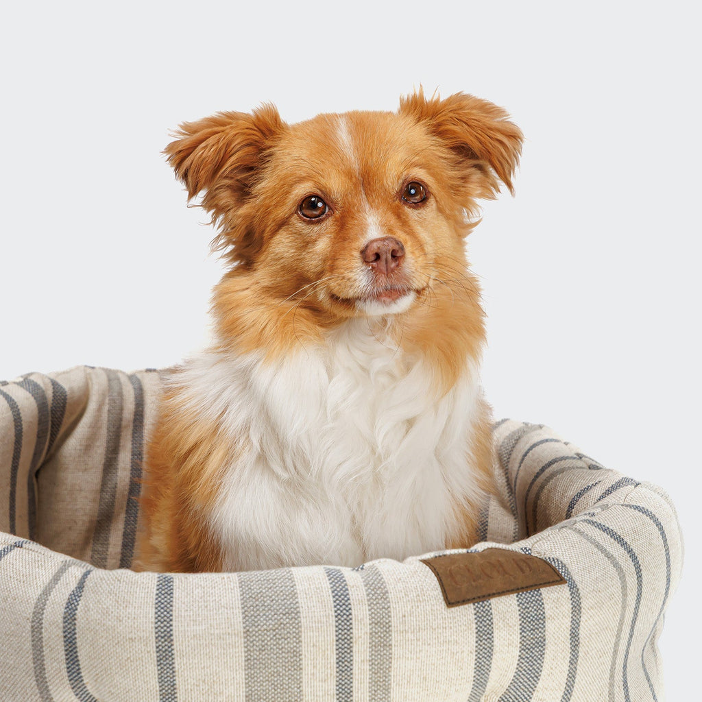 Cozy Dog Pillow with Lazy Linen Stripes - Natural/Blue