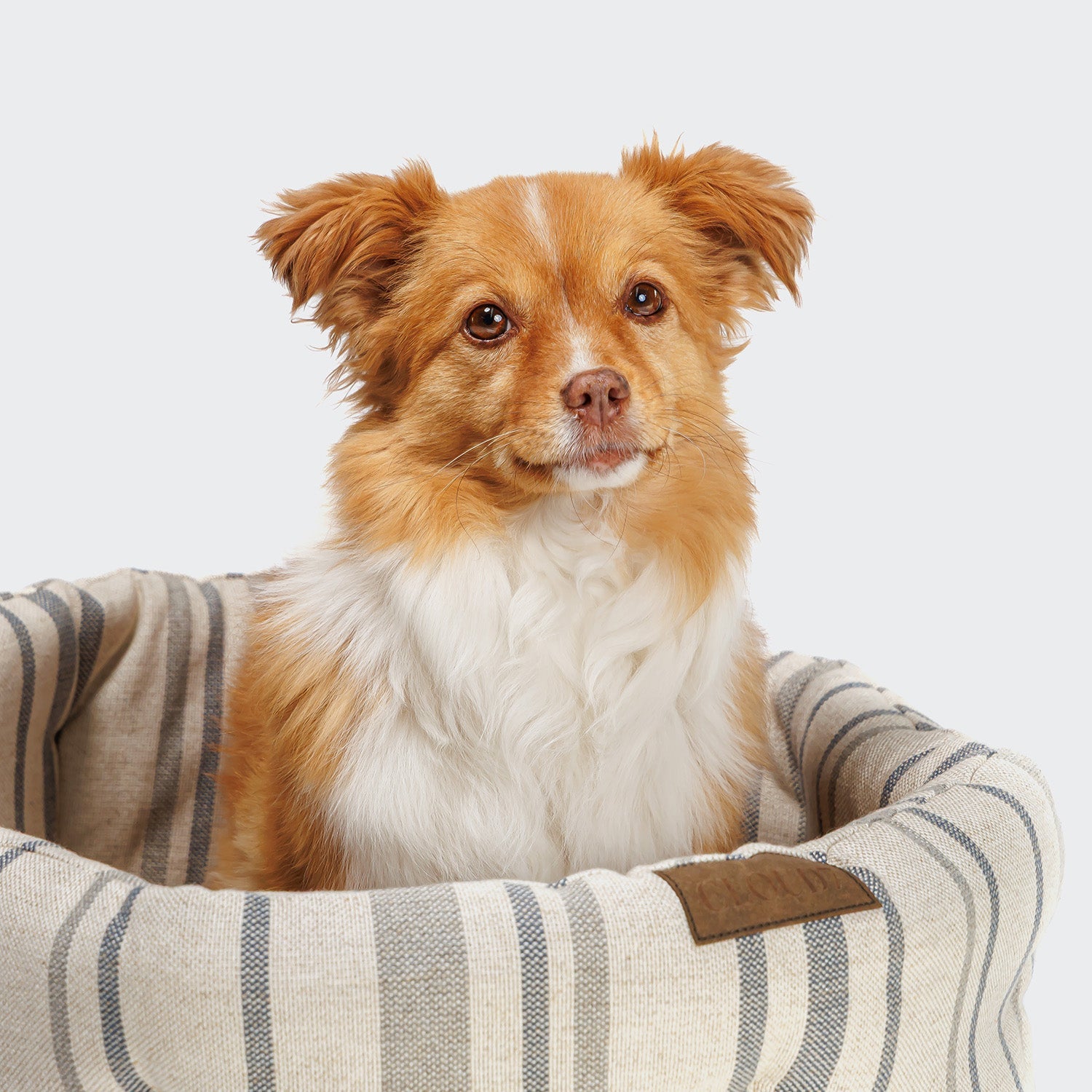 Cozy Dog Pillow with Lazy Linen Stripes - Natural/Blue