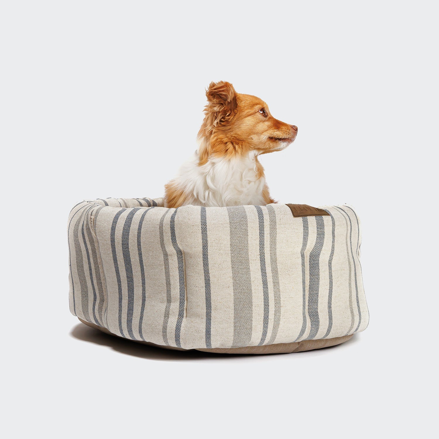 Cozy Dog Pillow with Lazy Linen Stripes - Natural/Blue