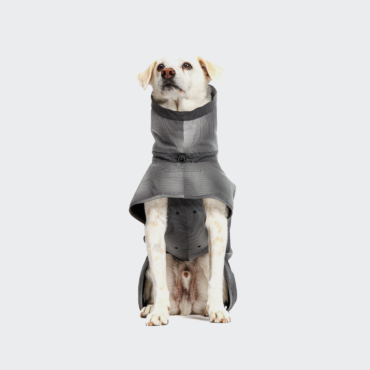 AKTIV Black Dog Raincoat – Weatherproof, Durable & Comfortable