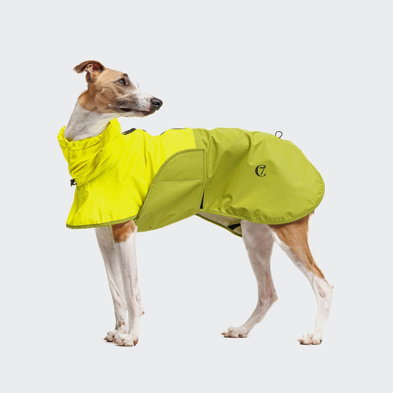 AKTIV Dog Raincoat - Neon Green & Light Olive