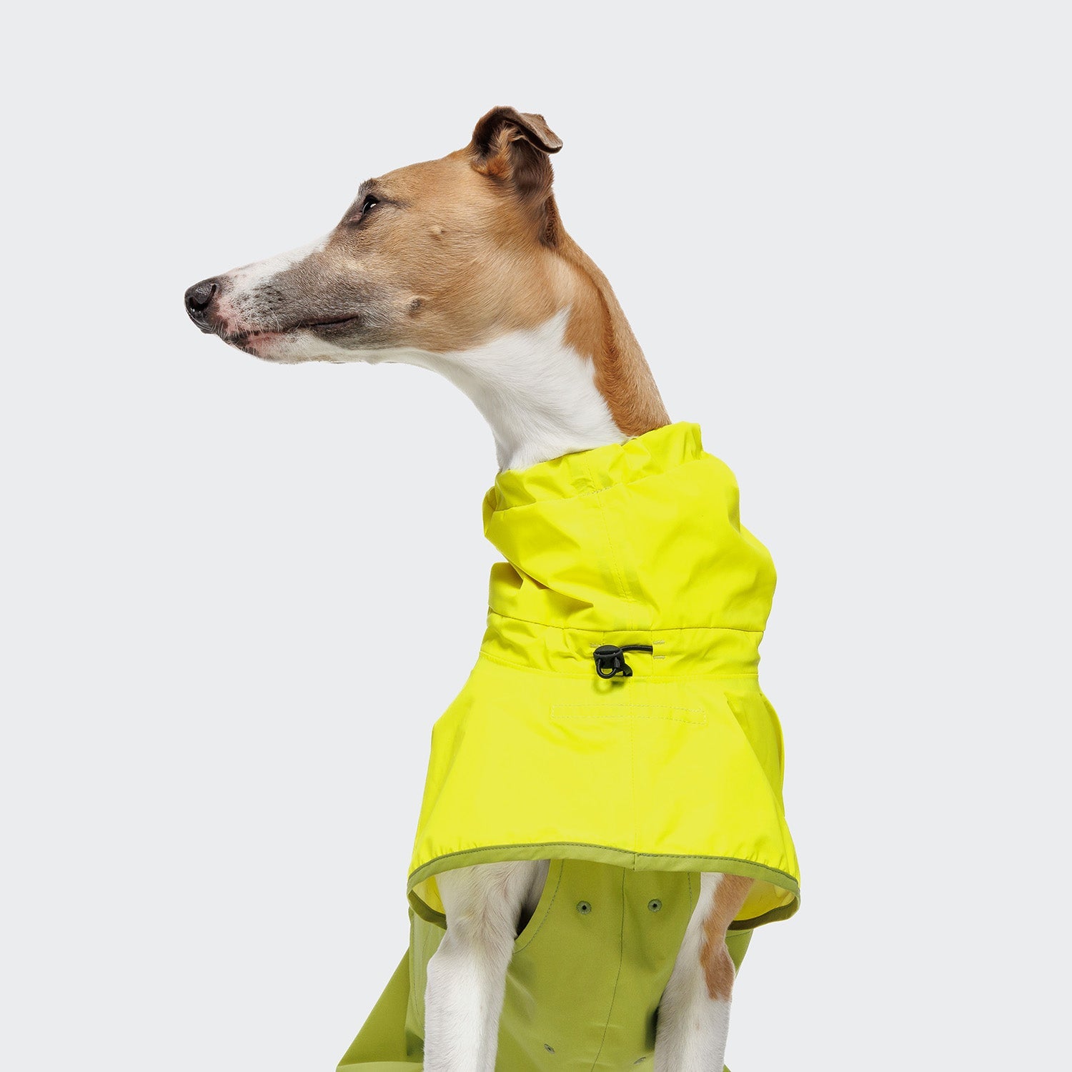 AKTIV Dog Raincoat - Neon Green & Light Olive