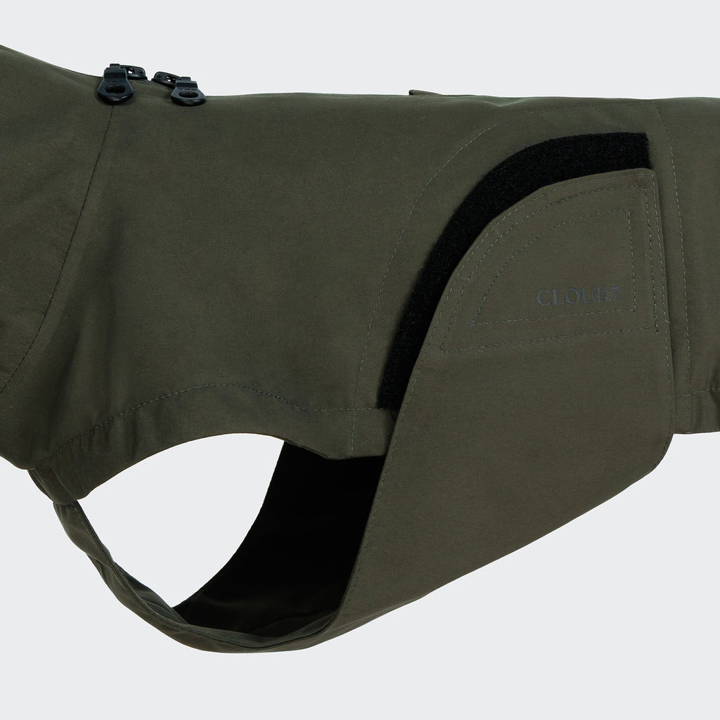 Dachshund Raincoat Dublin 2.0 in Dark Olive