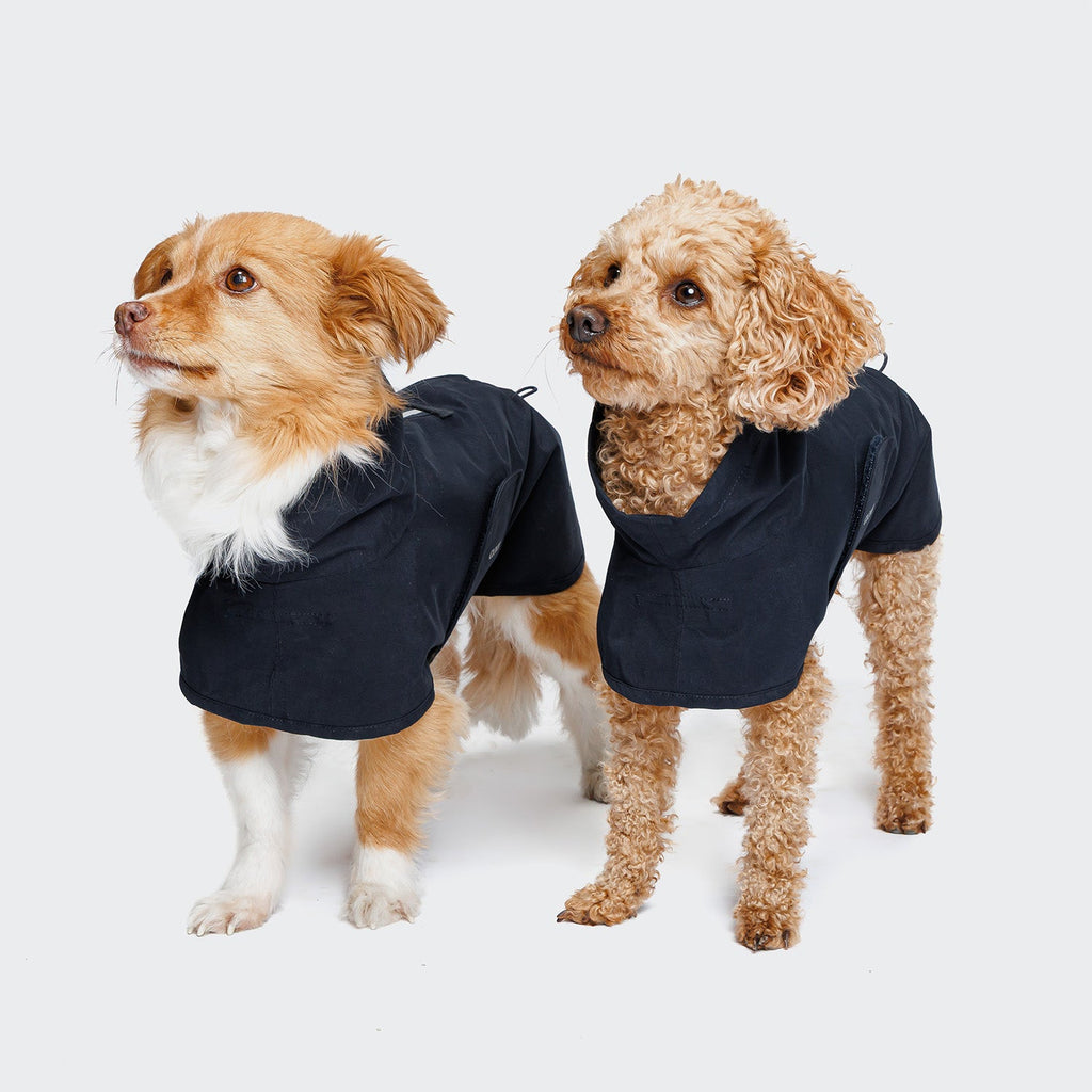 Helgoland Navy Dog Raincoat
