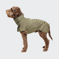 Helgoland Olive Dog Raincoat - Waterproof Protection for Your Pooch