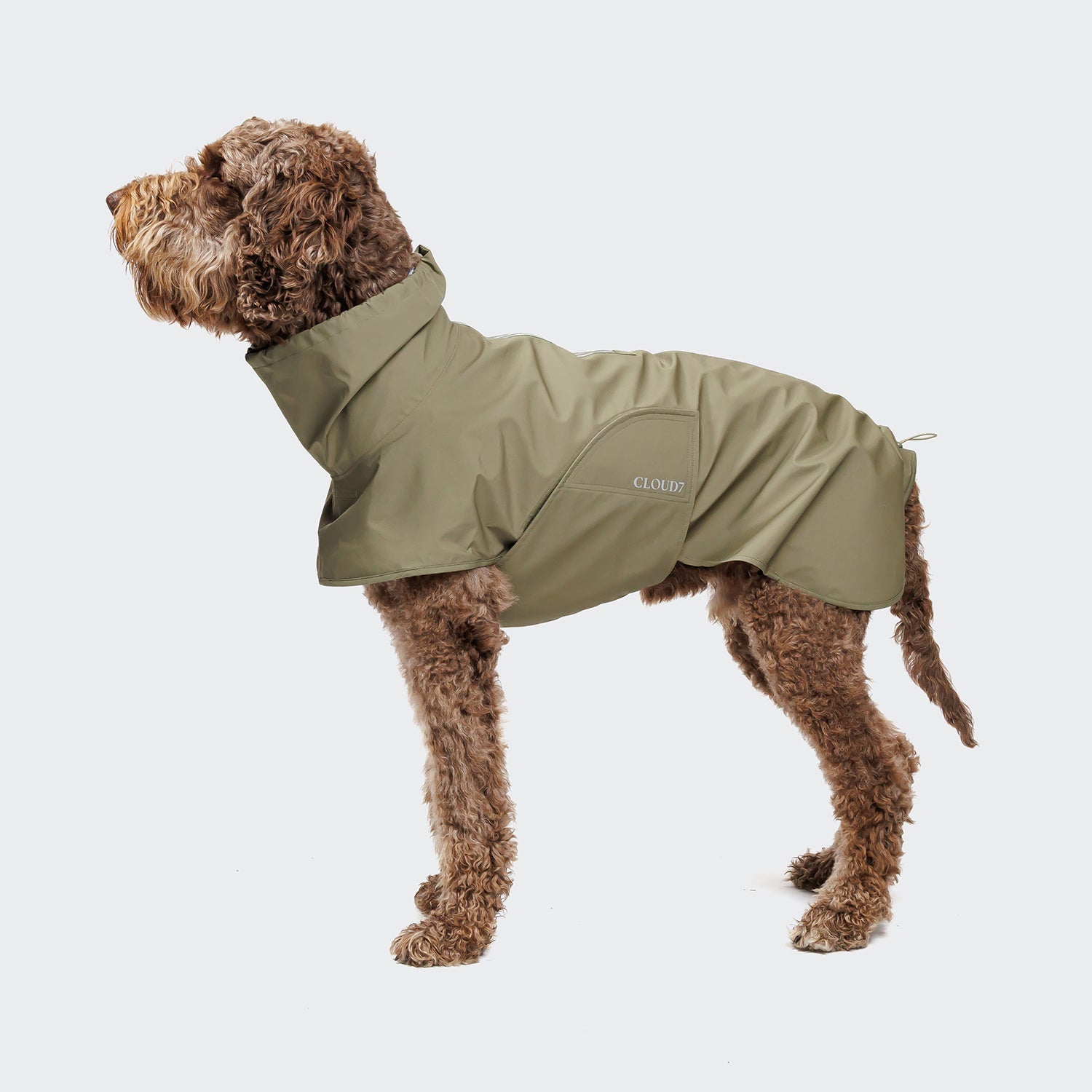 Helgoland Olive Dog Raincoat - Waterproof Protection for Your Pooch