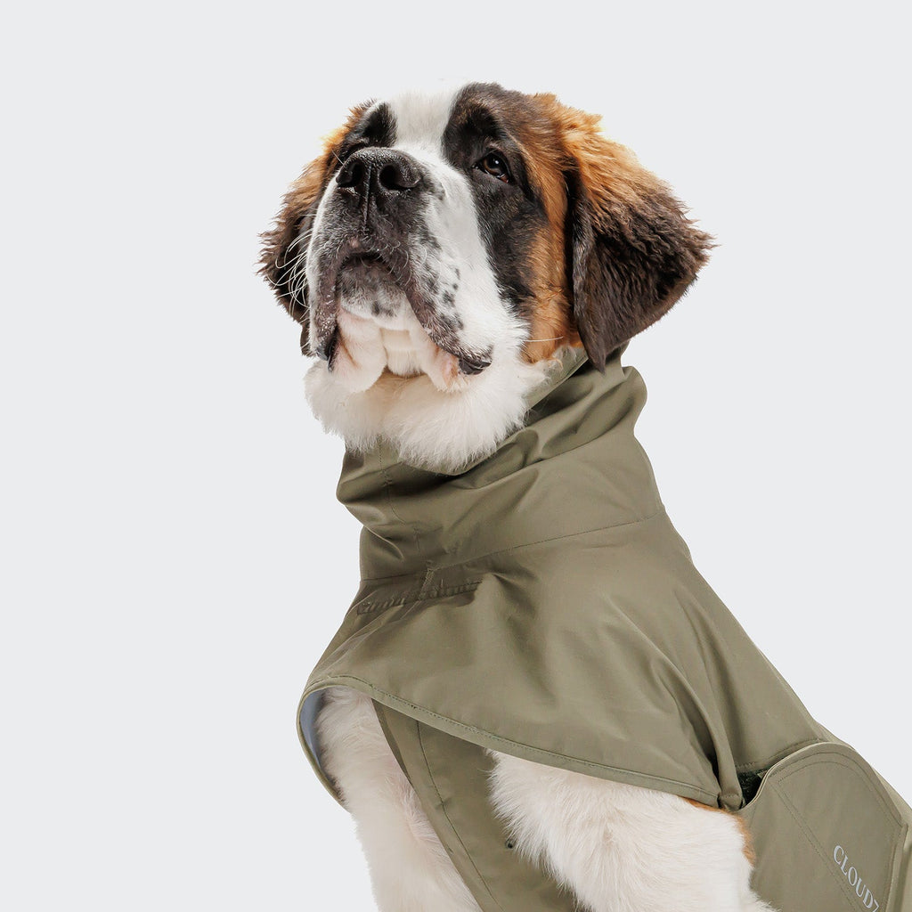 Helgoland Olive Dog Raincoat - Waterproof Protection for Your Pooch