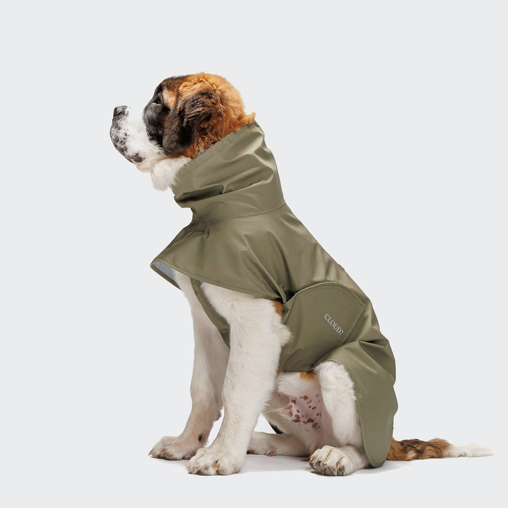 Helgoland Olive Dog Raincoat - Waterproof Protection for Your Pooch