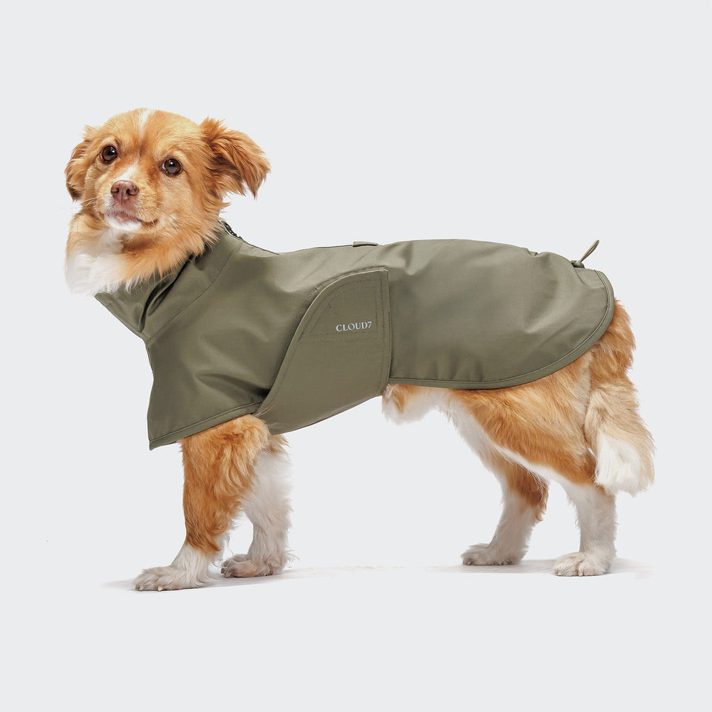 Helgoland Olive Dog Raincoat - Waterproof Protection for Your Pooch