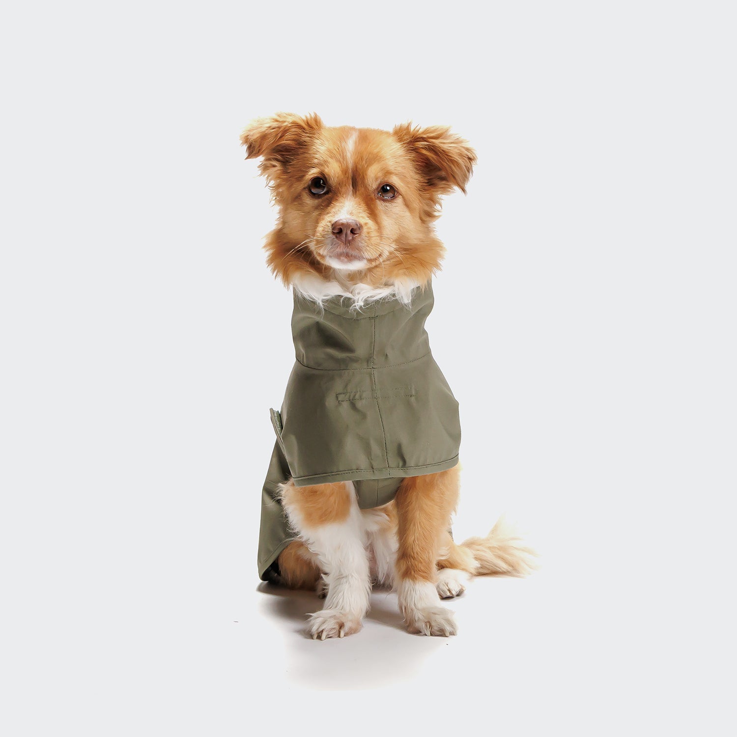 Helgoland Olive Dog Raincoat - Waterproof Protection for Your Pooch