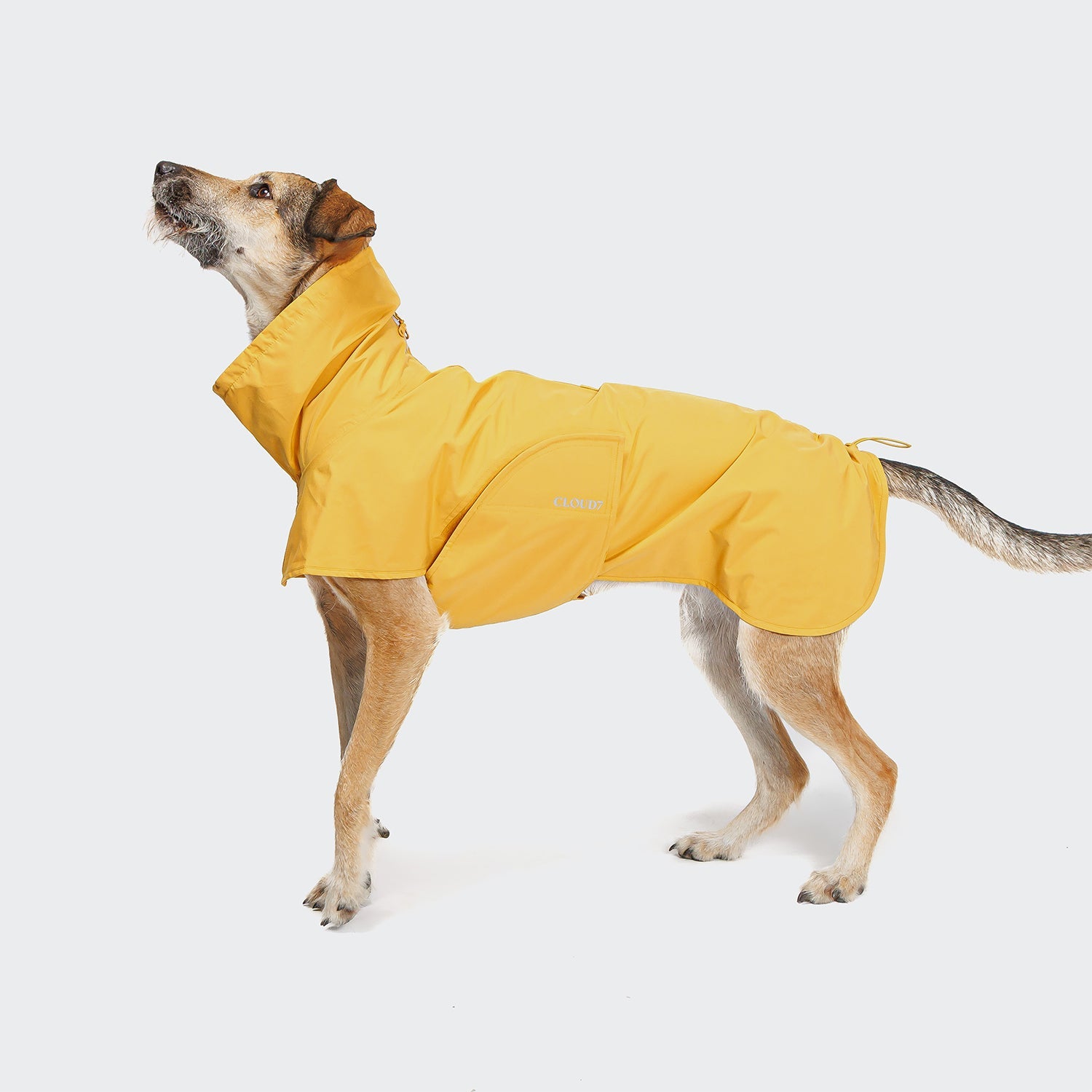 Yellow Heligoland Dog Raincoat