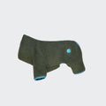 Olive Cornwall Teddy French Bulldog Sweater