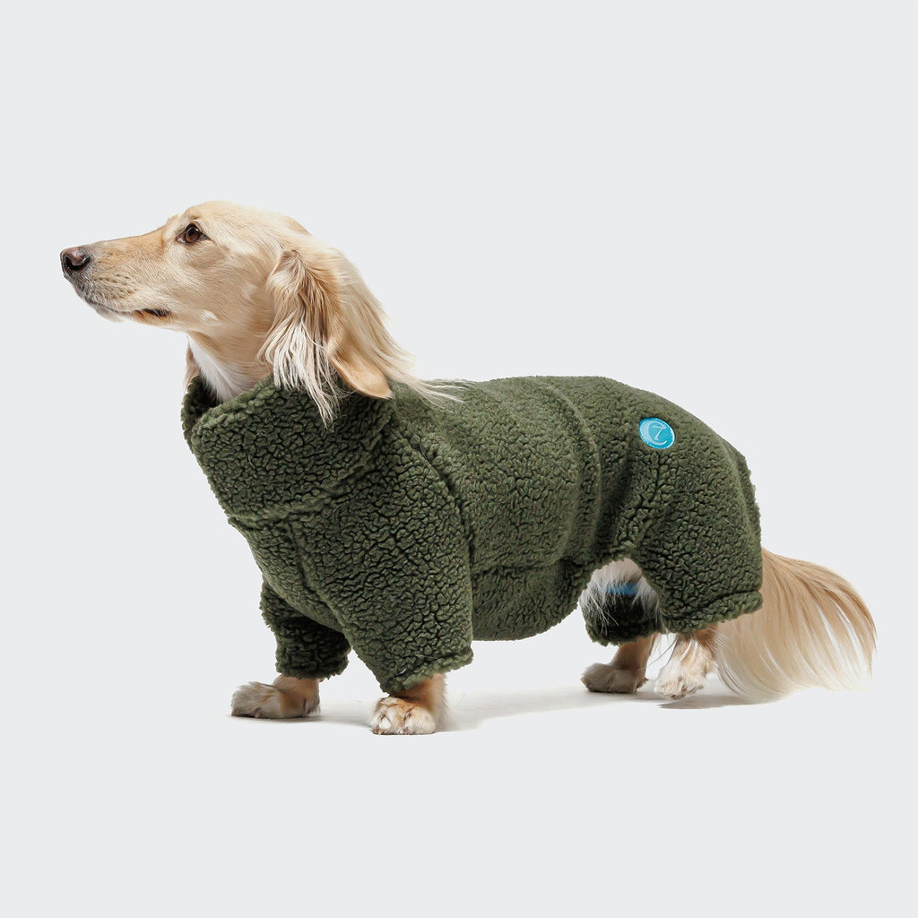 Cozy Olive Dachshund Sweater - Cornwall Teddy Knit