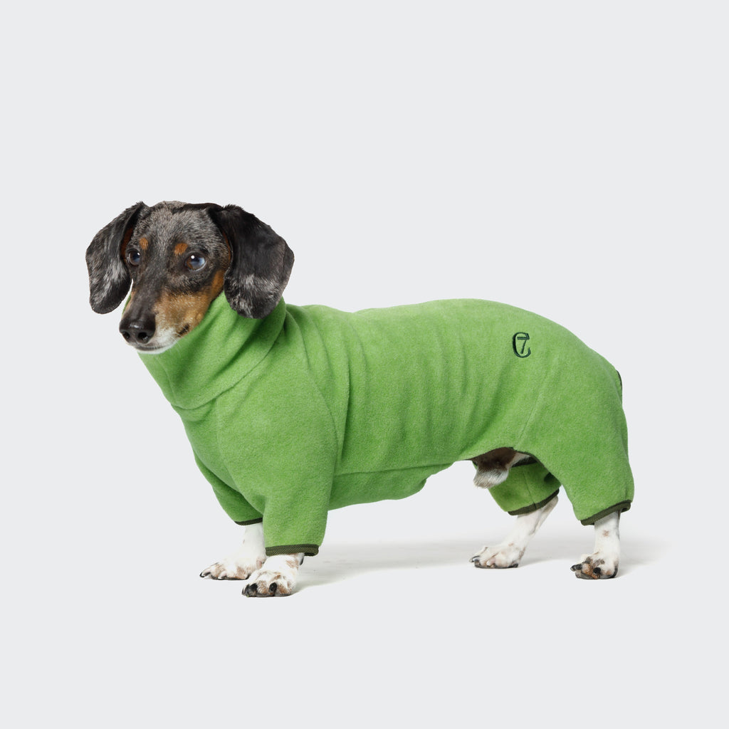 Cozy Dachshund Fleece Sweater in Cornwall Lime Green