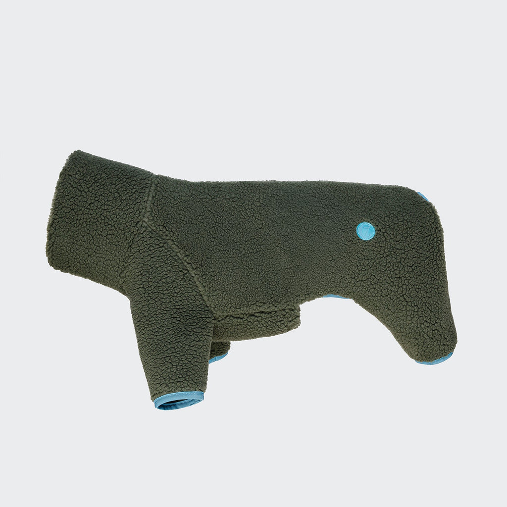 Cozy Olive Cornwall Teddy Dog Sweater