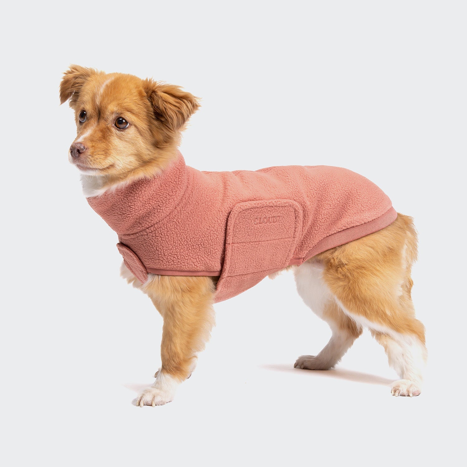 Derby 2.0 Fleece Dog Sweater – Faded Rose