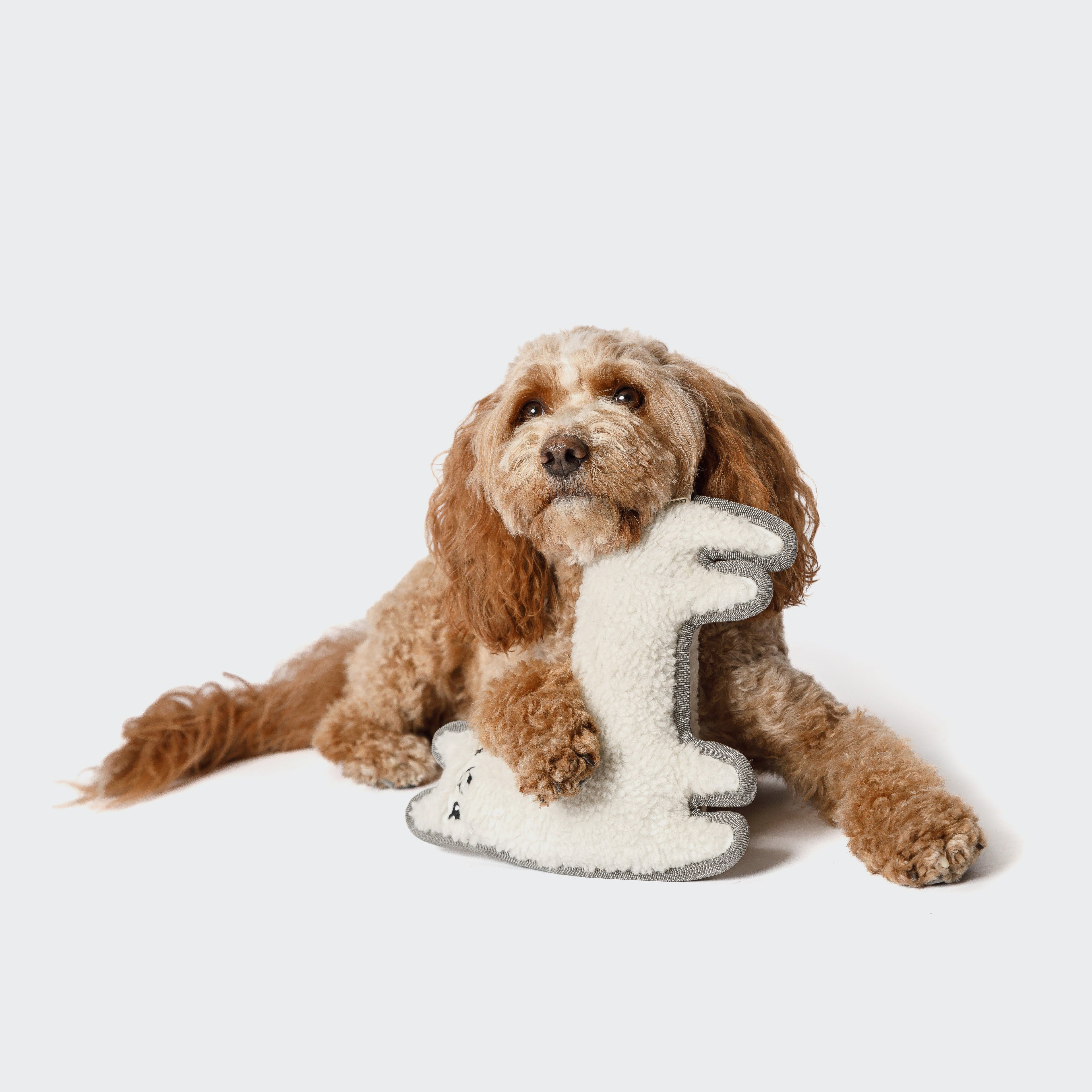 Lotte the Llama Dog Toy