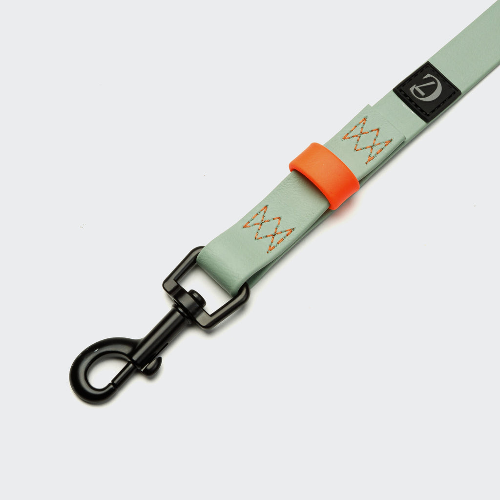 BioThane Long Line Dog Leash – Ipanema Mint with Neon Orange Accents