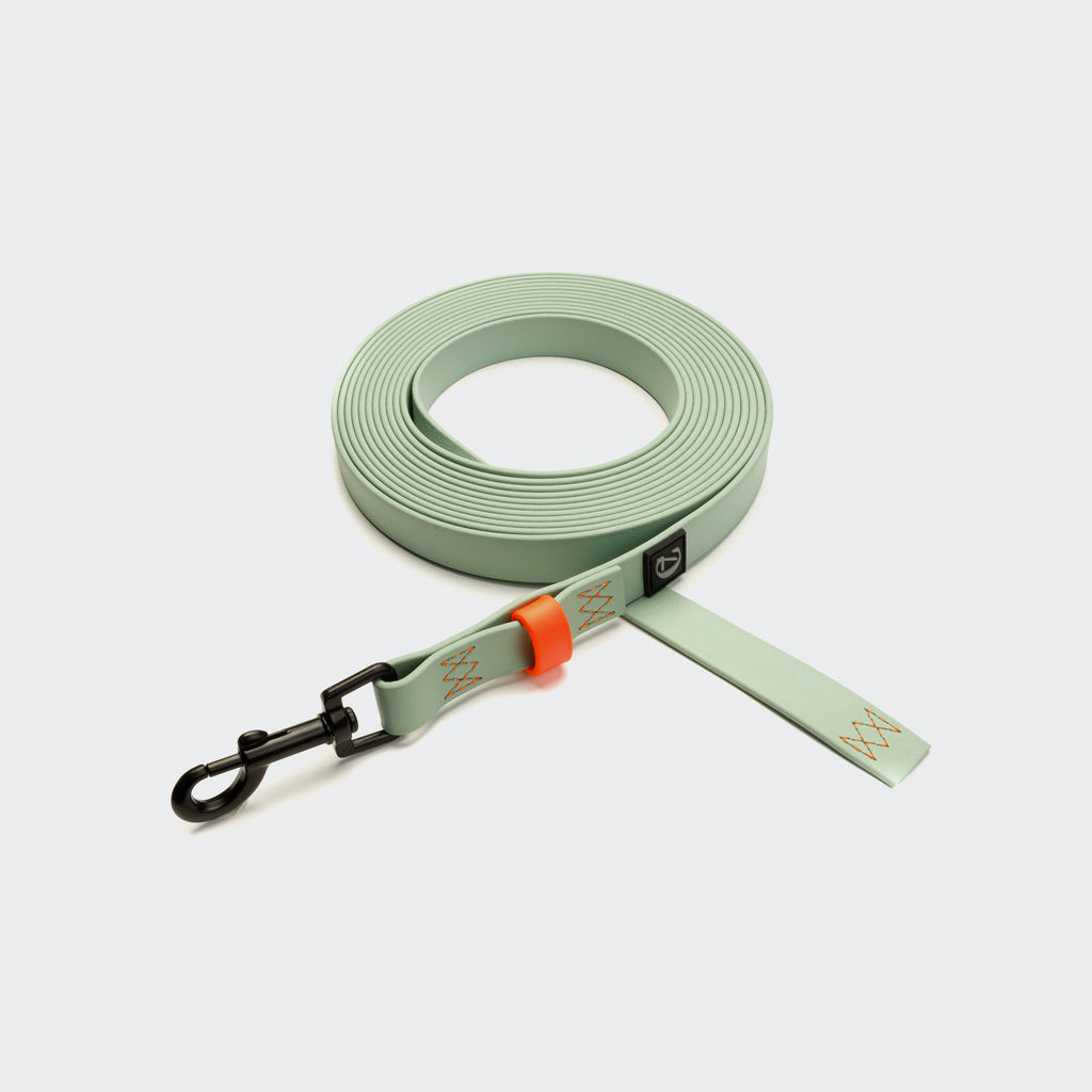 BioThane Long Line Dog Leash – Ipanema Mint with Neon Orange Accents