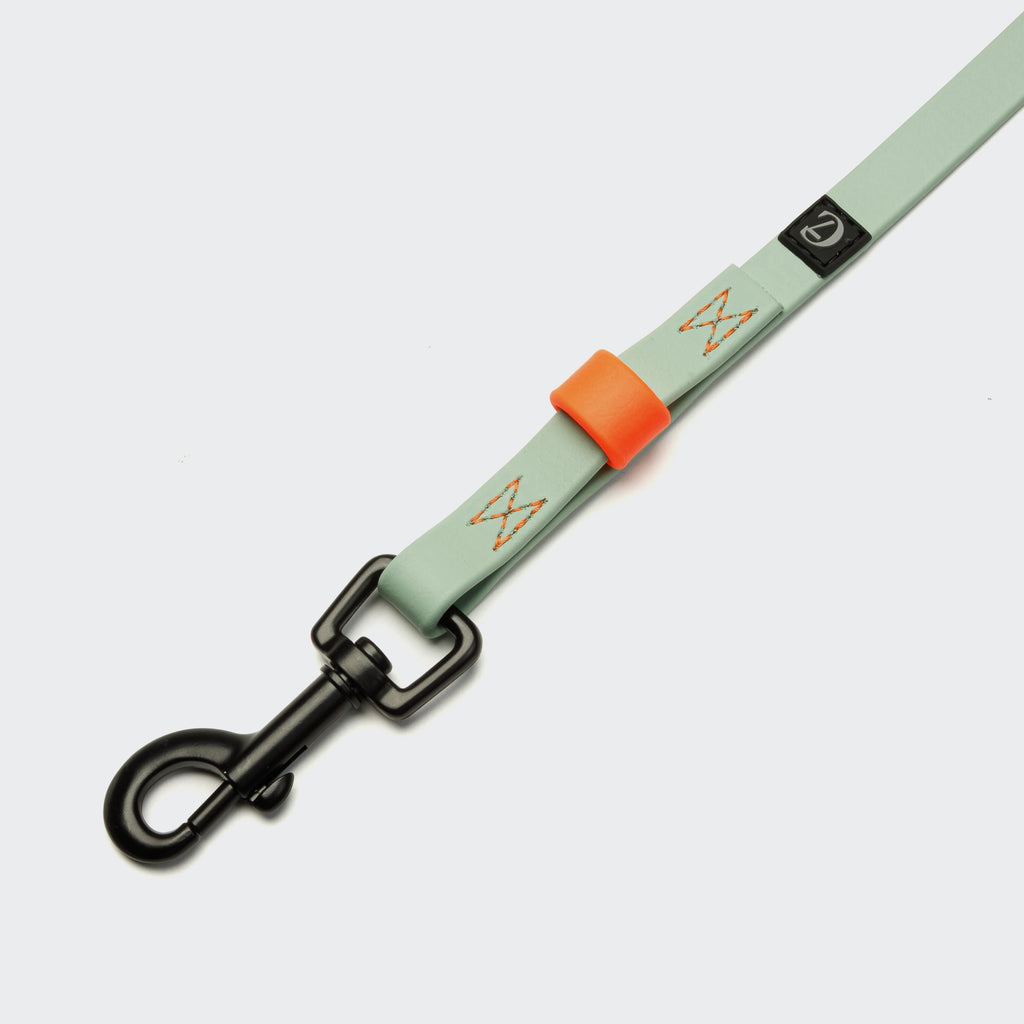 BioThane Long Line Dog Leash – Ipanema Mint with Neon Orange Accents