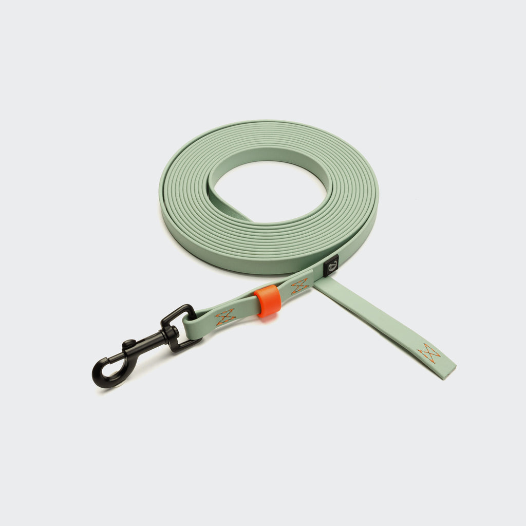 BioThane Long Line Dog Leash – Ipanema Mint with Neon Orange Accents