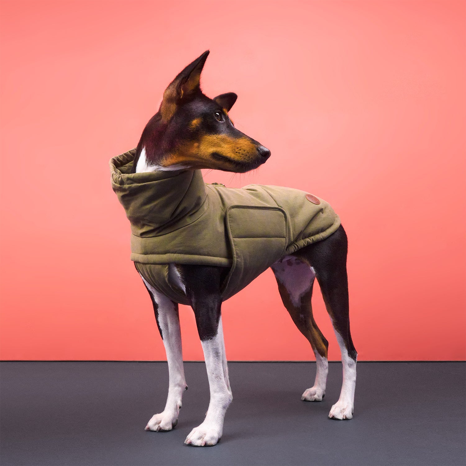 Yukon Teddy Dog Coat in Khaki