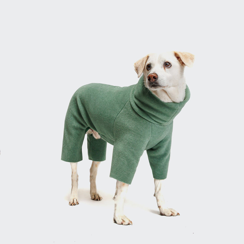 Cozy Cornwall Dusty Green Fleece Dog Sweater