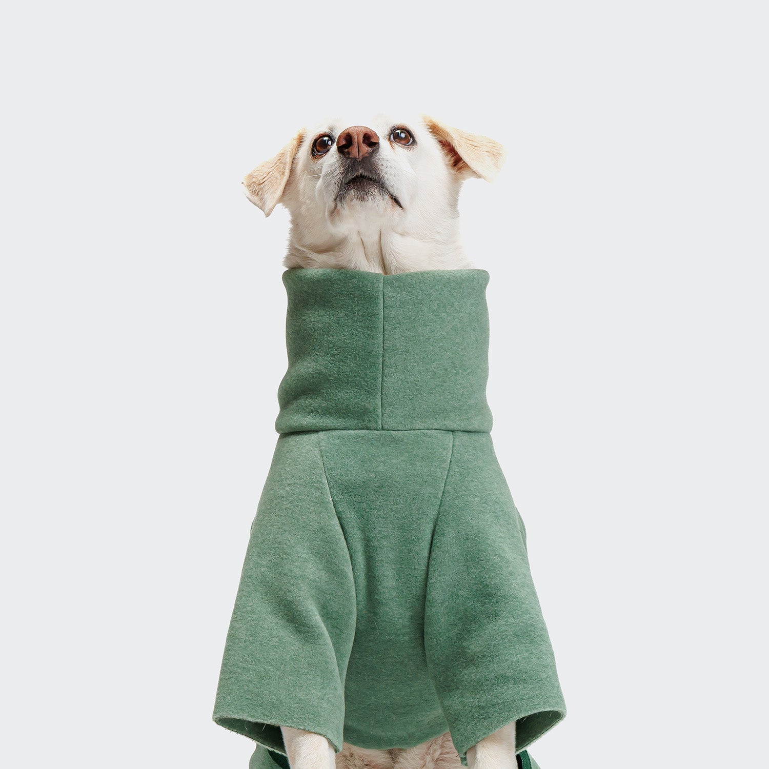 Cozy Cornwall Dusty Green Fleece Dog Sweater