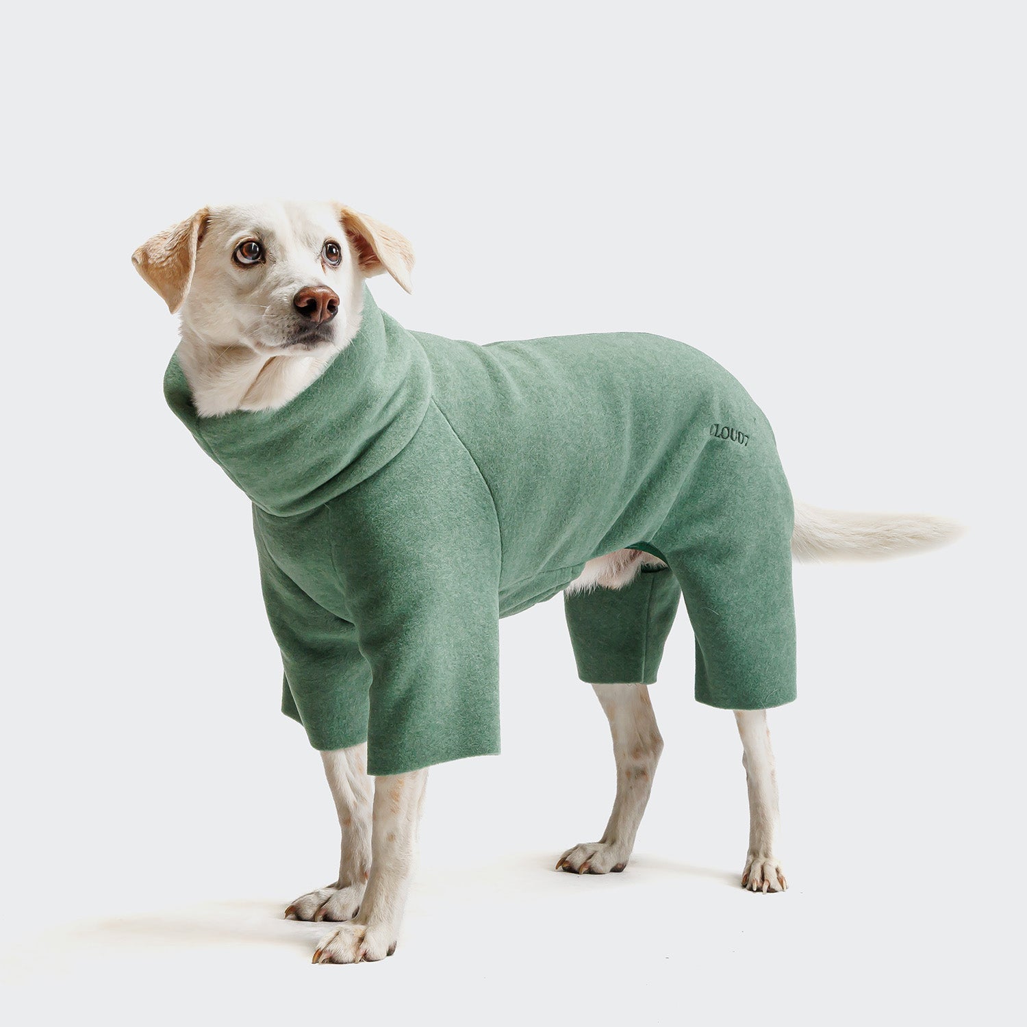 Cozy Cornwall Dusty Green Fleece Dog Sweater