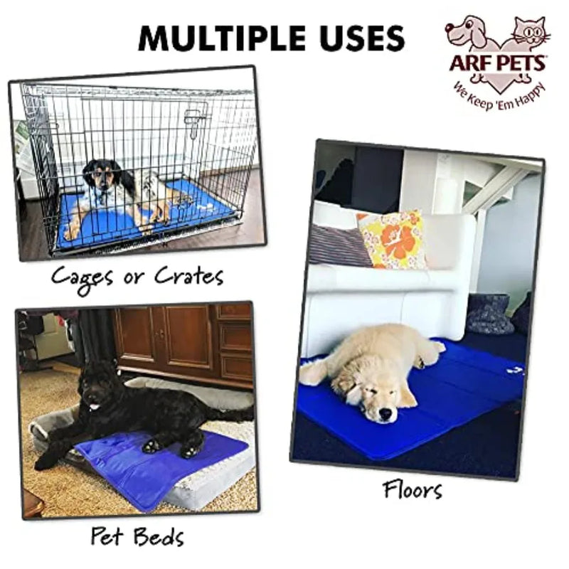 Why Your Dog Will Love It