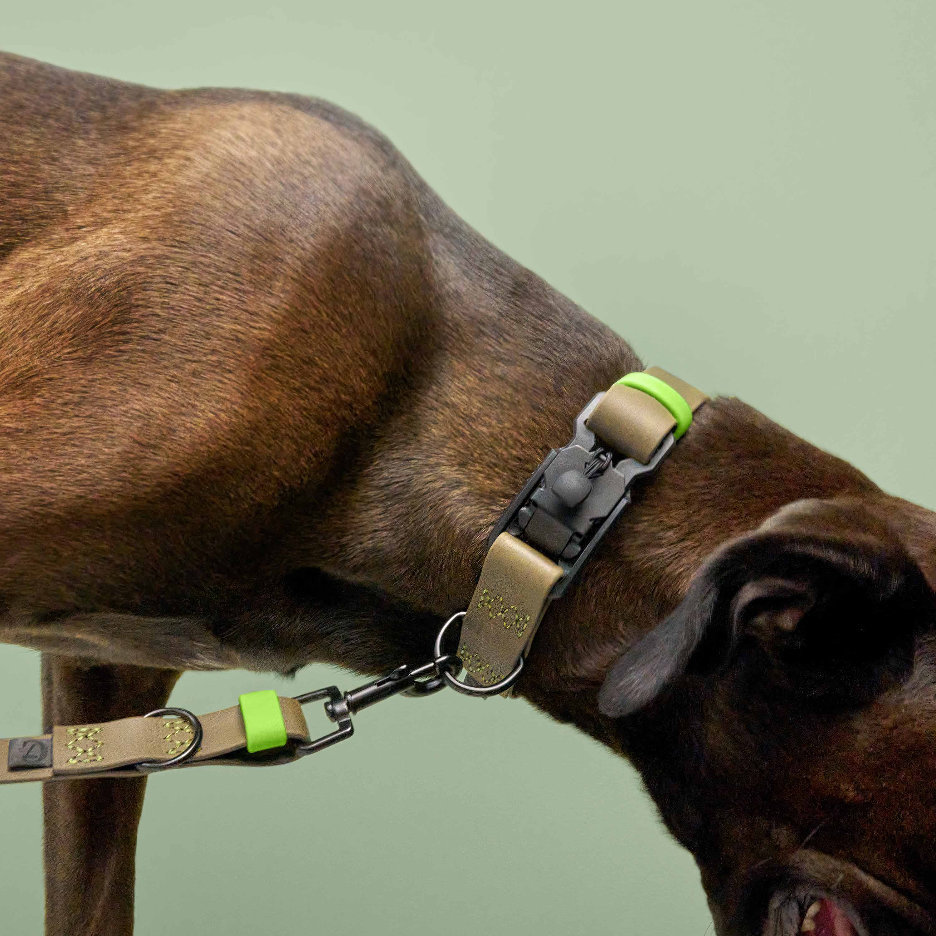 Ipanema BioThane Adjustable Dog Leash - Olive-Neon Green