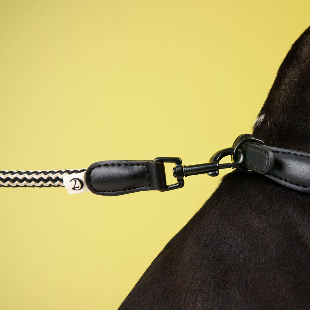 Mauerpark Zigzag Black Dog Leash