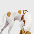 Central Park Camel Gold Dog Harness - Comfortable & Secure