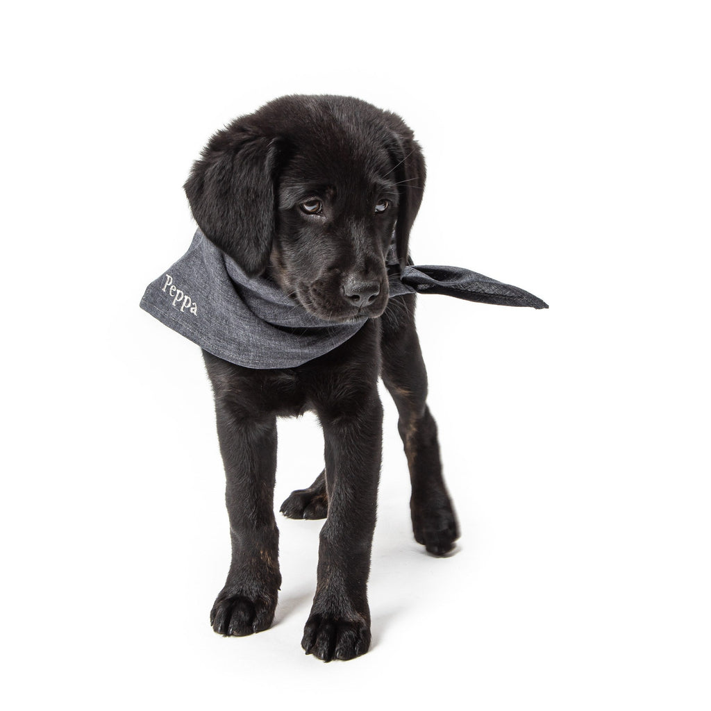 Indigo Personalized Dog Bandana — Customizable Accessory for Your Pup