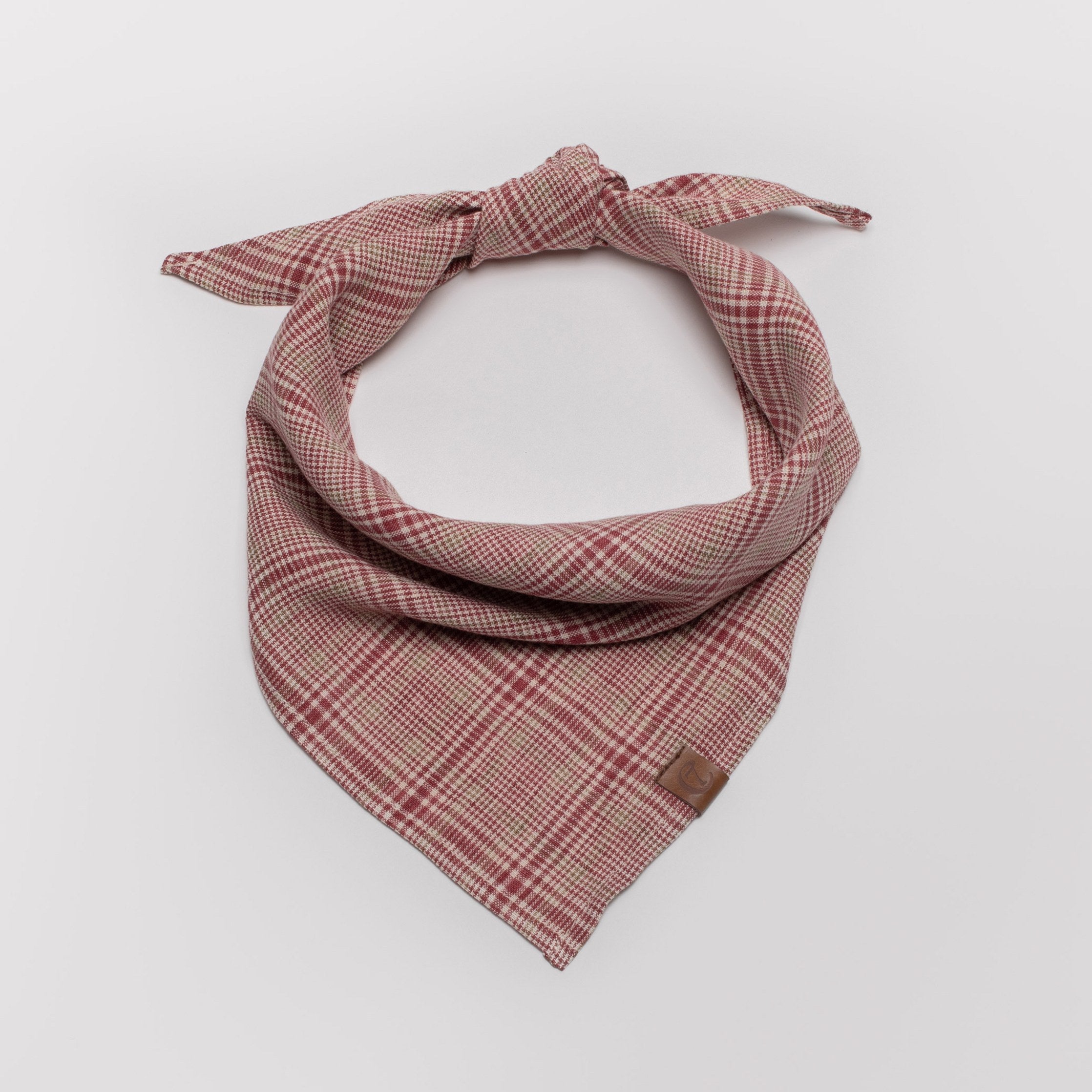 Stylish Red and Light Green Checkered Dog Bandana
