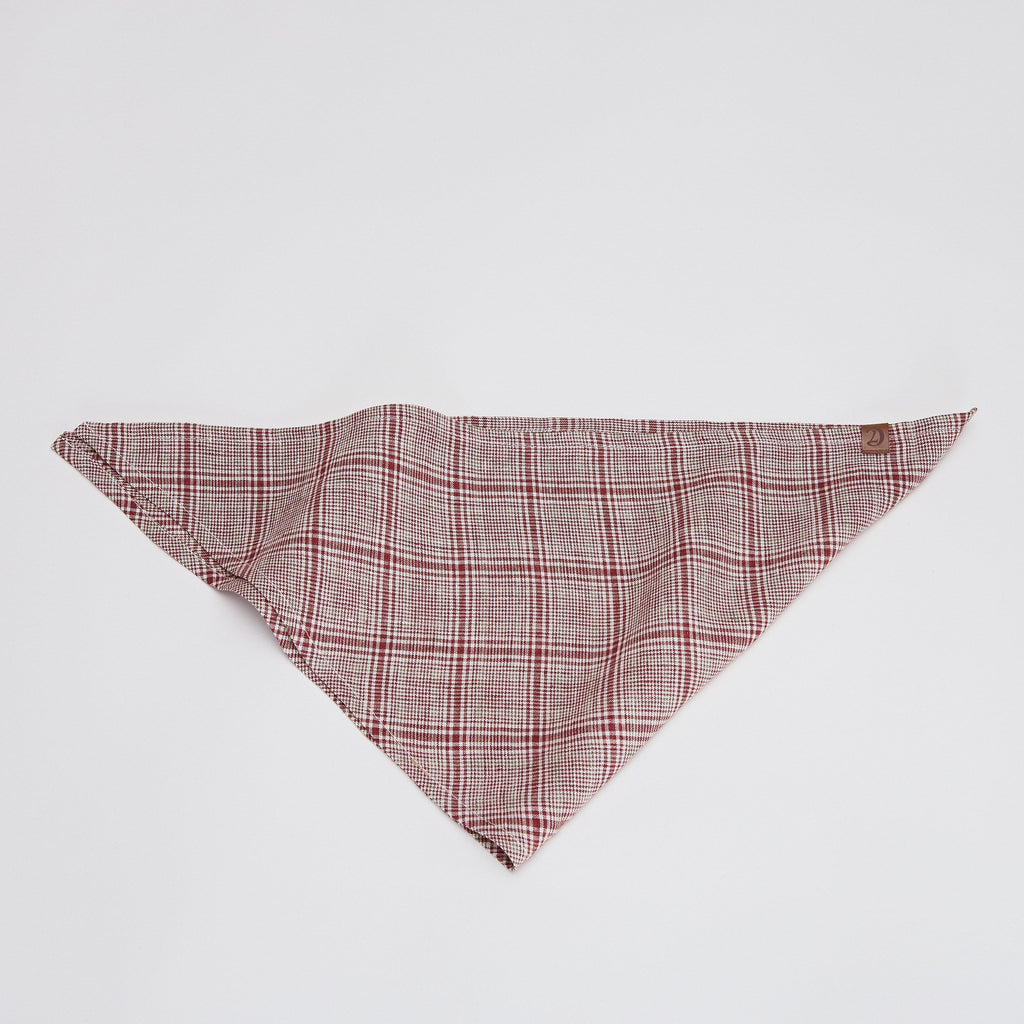 Stylish Red and Light Green Checkered Dog Bandana