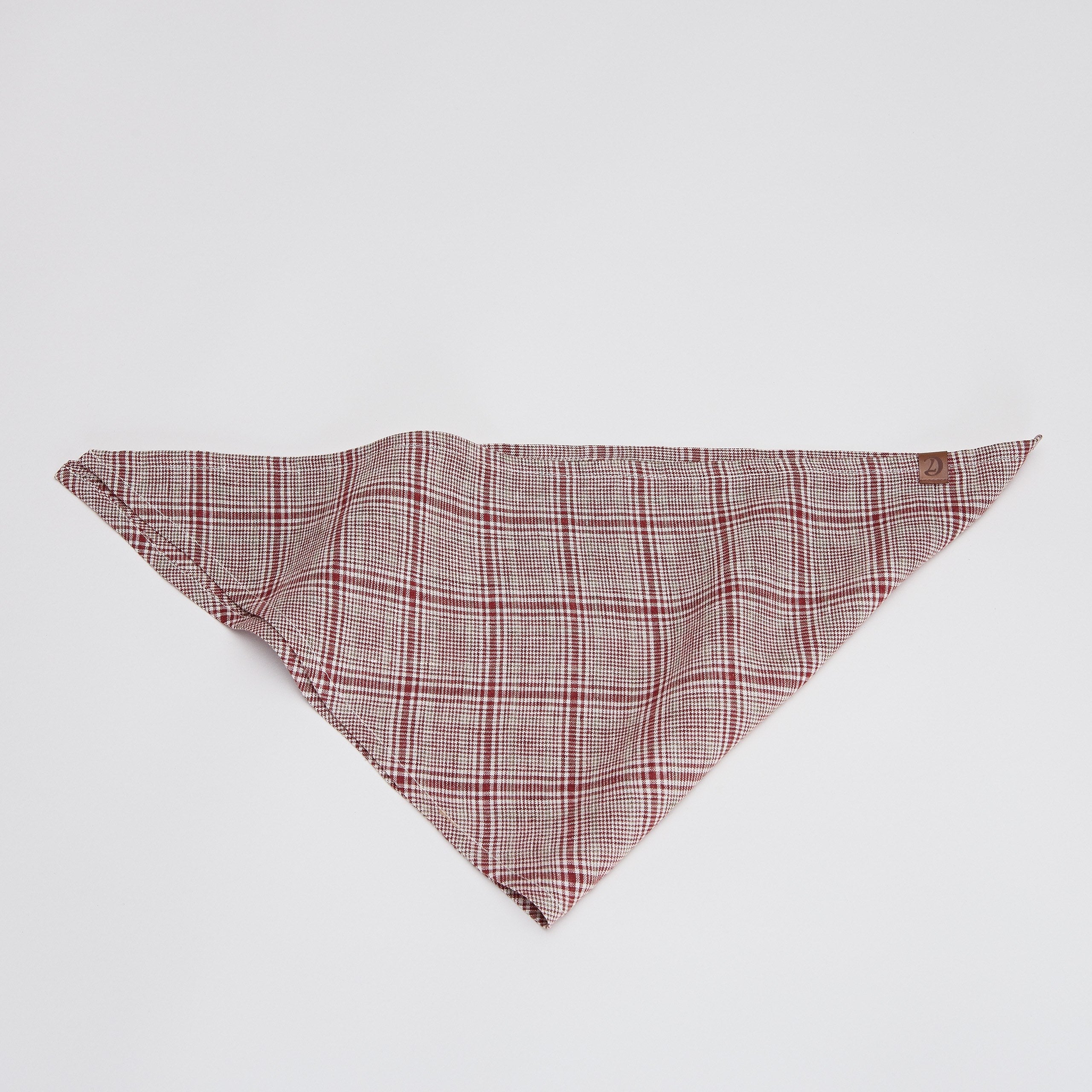 Stylish Red and Light Green Checkered Dog Bandana