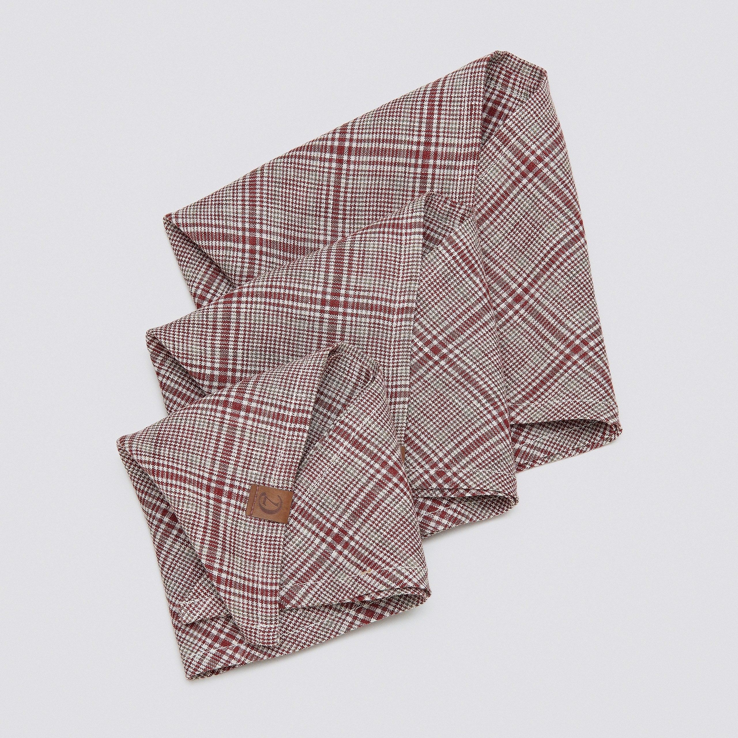Stylish Red and Light Green Checkered Dog Bandana