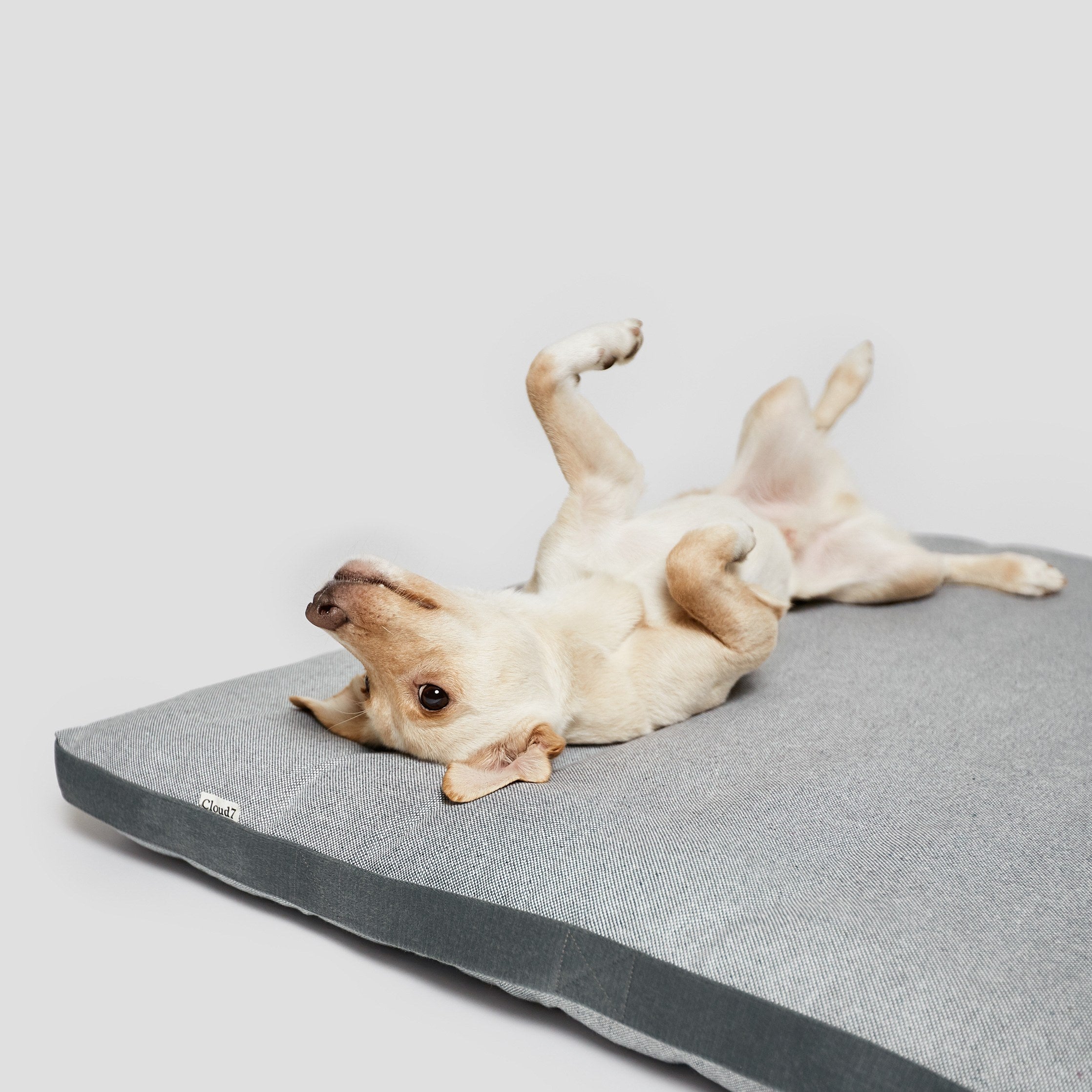 Siesta Grey Tweed Dog Bed